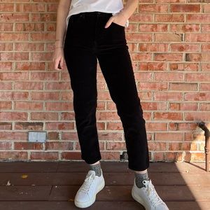 Everlane Corduroy Straight Crop